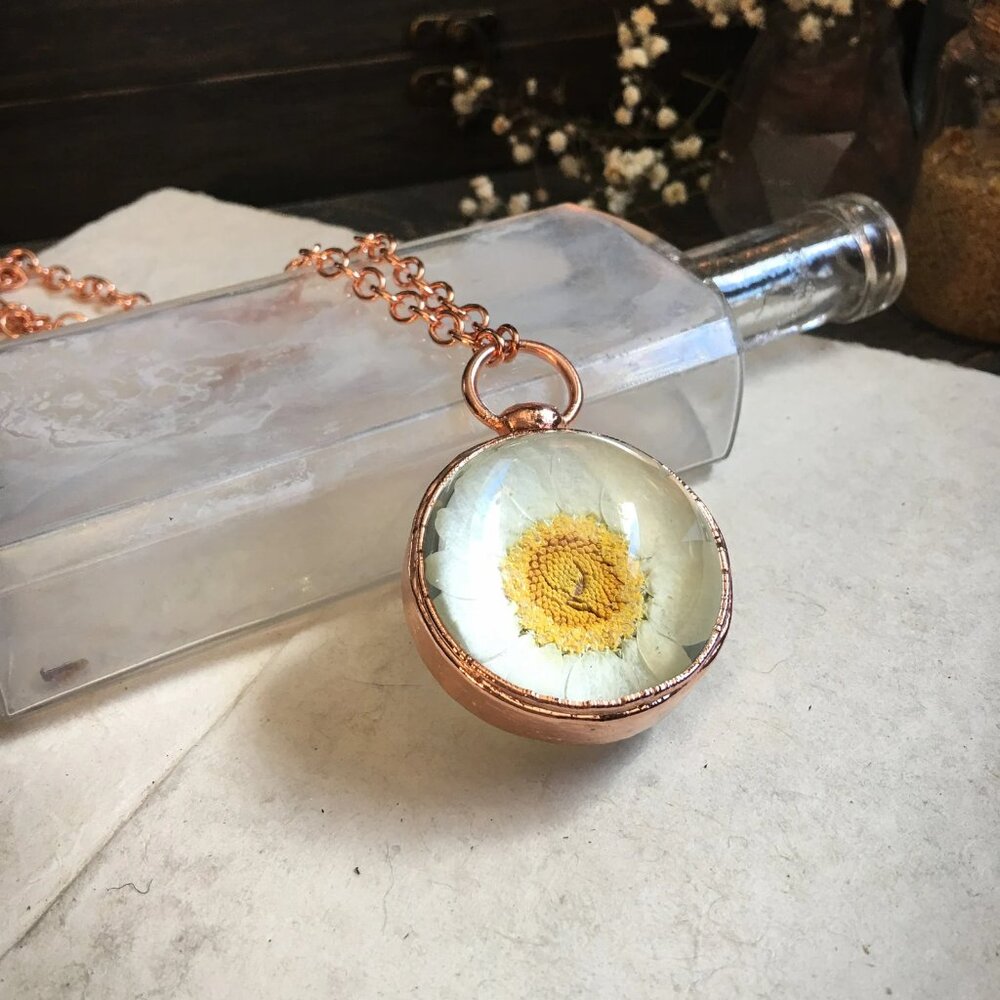 Real Daisy Necklace/Pressed Flower Pendant/Botanical Globe Amulet by Query Eve